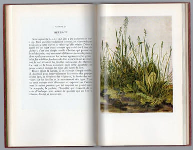 ALBERT DURER . Aquarelles et dessins de la collection de l'Albertine de vienne.
