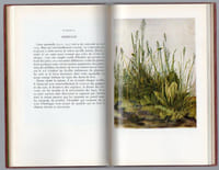 ALBERT DURER . Aquarelles et dessins de la collection de l'Albertine de vienne.