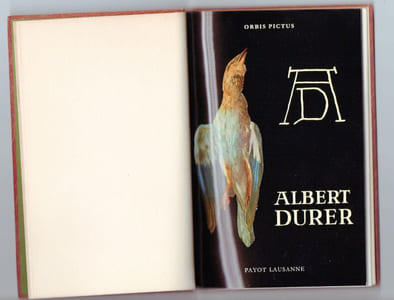 ALBERT DURER . Aquarelles et dessins de la collection de l'Albertine de vienne.