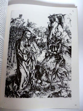 Les Tentations de Jérôme Bosch à Salvador Dali.. Tristan Frédérick