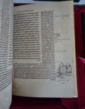 Eloge de la Folie. . Erasme - Chièze (Jean) [illustration]
