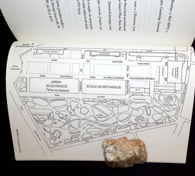 Une ethnologie au jardin des Plantes  DIX PETITS TERRAINS.. Lizet Bernadette 
