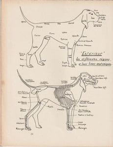 Le Chien et sa médecine