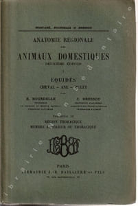 Anatomie Régionale des Animaux Domestiques. Cheval - Ane - Mulet Fascicule III Région Thoracique. Membre antérieur ou thoracique.