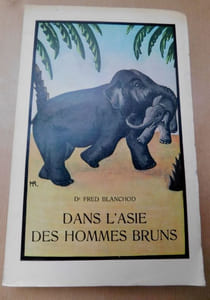 DANS LASIE DES HOMMES BRUNS.