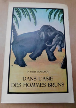 DANS LASIE DES HOMMES BRUNS. . BLANCHOD Fred, Dr. 
