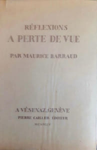 Réflexions à perte de vue