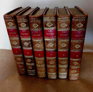 Les jeunes voyageurs, ou Lettres sur la France: en prose et en vers, ornées de quatre-vingt-huit gravures . par L.N. A*** et C. T***.