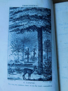 Les Plantes, Poème. 