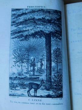 Les Plantes, Poème. . Castel René-Richard.