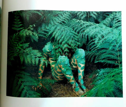 NILS-UDO De l'art avec la nature.. Becker Wolfgang - Durand Régis. Petit-Eemptaz (Anne-Sophie).