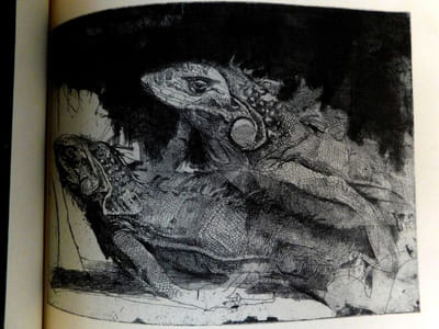 Mario Calandri. Mostra Antologica. 