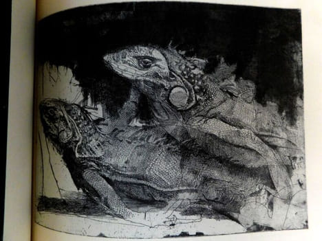 Mario Calandri. Mostra Antologica. . Bruno Gianfranco - Carluccio Luigi