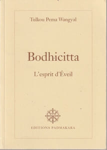 Bodhicitta, l'esprit d'éveil. Commentaire des " Trente Sept Pratiques des Botdhisattvas"; poème poème de Thogmé Zangpo.