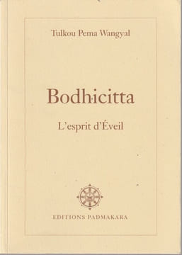 Bodhicitta, l'esprit d'éveil. Commentaire des " Trente Sept Pratiques des Botdhisattvas"; poème poème de Thogmé Zangpo.. Wadmakada (Péma)