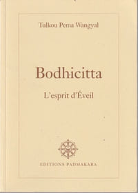 Bodhicitta, l'esprit d'éveil. Commentaire des " Trente Sept Pratiques des Botdhisattvas"; poème poème de Thogmé Zangpo.