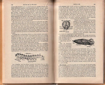 La faune de la France illustrée IV Hémiptères - Anoploures, Mallophages, Lépidoptères.
