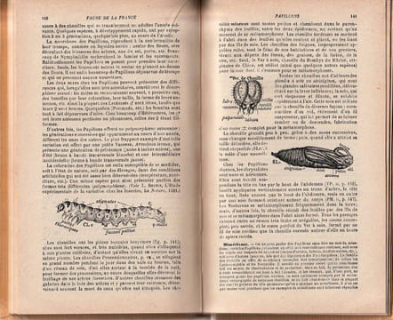 La faune de la France illustrée IV Hémiptères - Anoploures, Mallophages, Lépidoptères.. PERRIER (Remi) 