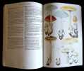Les champignons de France. . Courtecuisse (Régis) - Duhem Bernard (Illustration) 