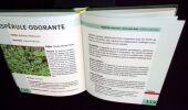 Lexiguide des plantes herbes et plantes aromatiques.. Jeanet (C&eacute;line) 