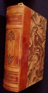Curiosités esthétiques - L'art romantique et autres oeuvres critique de Baudelaire.