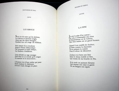 Les Fleurs du Mal. Les épaves - Pièces condamnées - Poésies diverses et traduites - Le spleen de Paris. Les paradis artificiels - Essais et nouvelles.