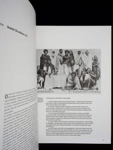Africa Capolavori da un continente. Catalogo delle operee schede a cura di Ezio Bassani. Catalogue des oeuvres et notes éditées par Ezio Bassani. Afrique chefs-d'uvre d'un continent. 