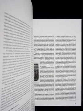Africa Capolavori da un continente. Catalogo delle operee schede a cura di Ezio Bassani. Catalogue des oeuvres et notes éditées par Ezio Bassani. ...
