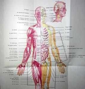 Précis d'Acupuncture Chinoise.
