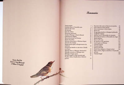Les oiseaux de nos régions. 