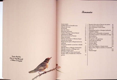 Les oiseaux de nos régions. . Ede (Basil) - Rheinwald (Goetz) - Campbell (William-David).
