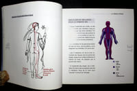 Entrez dans la pratique du Qi Gong. Découvrez les bases de la philosophie du Qi Gong.