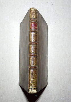 Les lettres dHéloïse et dAbailard, mises en vers françois. Seconde édition revûë, corrigée & augmentée dune lettre dHéloïse, & de quelques autres ...