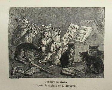Les chats. Histoire, moeurs, observations, anecdotes.