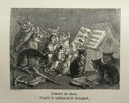 Les chats. Histoire, moeurs, observations, anecdotes.. Champfleury (Jules François Félix Husson)