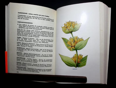 La Santé Grâce Aux Plantes. 255 plantes médicinales.. Mathieu Gustave (Naturopathe) - Soubiran (André).
