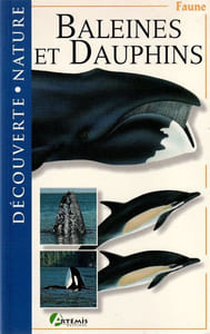 Baleines et Dauphins