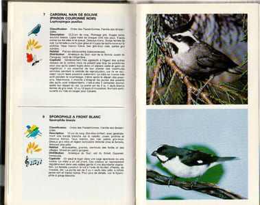 Les oiseaux de cages et de volière