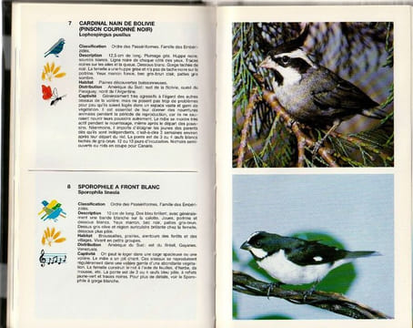 Les oiseaux de cages et de volière. Vriends  Matthew [Ornithologie]