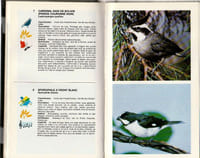 Les oiseaux de cages et de volière