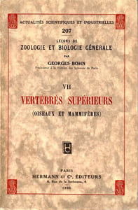 Vertébrés Supérieurs (Oiseaux et Mammifères)