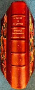 Une Idylle pendant le siège - Contes en prose