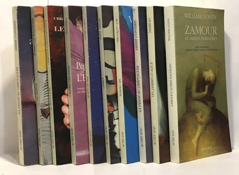10 romans Actes Sud - Zamour et autres nouvelles La diane au crépuscule La sirène e Manucure L'esprit des eaux Morts en mer Chien Numéro six La diane ...