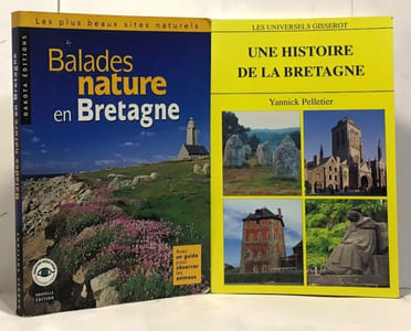 Une histoire de la Bretagne