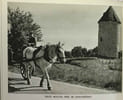 Haute bretagne. Levron Jacques