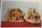 Une oasis en hiver - avec hommage de l'auteur. El Hadj Roukbi Marouf (sculptures) Berthier Jean-Marie (texte)