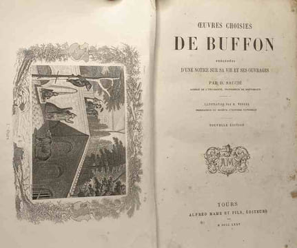 Oeuvres choisis de Buffon précédées d'une notice sur sa vie et ses ouvrages par D. Saucié- illustration par M. Werner --- nouvelle édition. Buffon