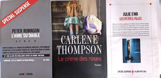 12 romans à suspens auteurs divers (voir descriptif complet): Le crime des roses (Thompson); La faiseuse d'anges (Läckberg) + Quai des enfers (Astier) + Double jeu (Abbott) + L'amie du diable (Robins