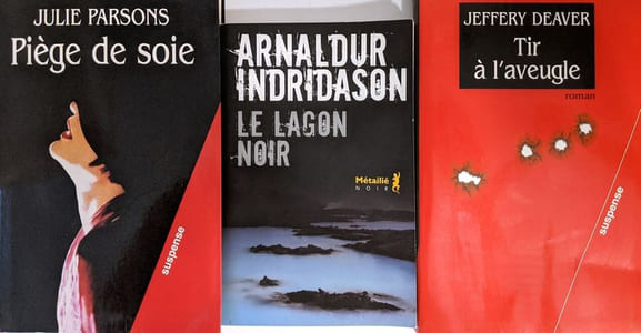12 romans à suspens auteurs divers (voir descriptif complet): Le crime des roses (Thompson); La faiseuse d'anges (Läckberg) + Quai des enfers (Astier) + Double jeu (Abbott) + L'amie du diable (Robins