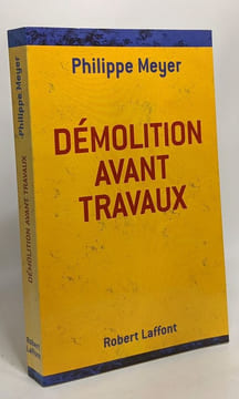 Démolition avant travaux. Meyer Philippe